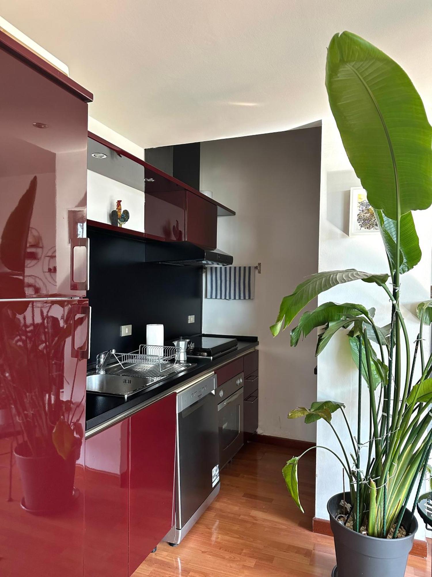 Urban Jungle - Attico Vista Duomo Διαμέρισμα Μιλάνο Εξωτερικό φωτογραφία