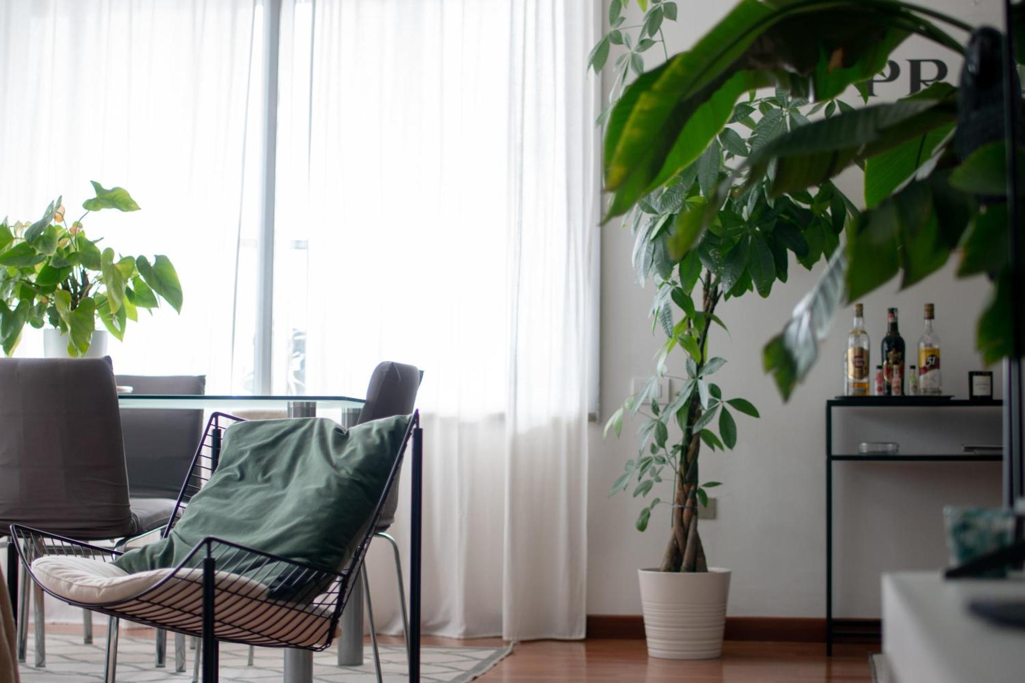 Urban Jungle - Attico Vista Duomo Διαμέρισμα Μιλάνο Εξωτερικό φωτογραφία