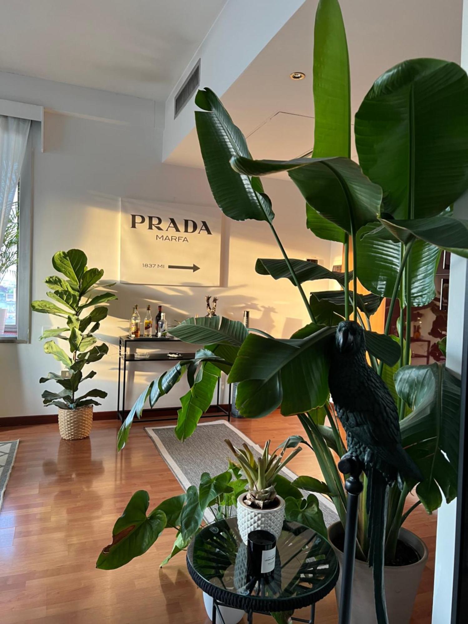 Urban Jungle - Attico Vista Duomo Διαμέρισμα Μιλάνο Εξωτερικό φωτογραφία